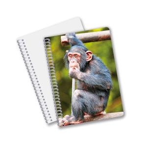 Factory Custom B5 A5 A6 3d Printing Lenticular Notebook Cute Spiral Student