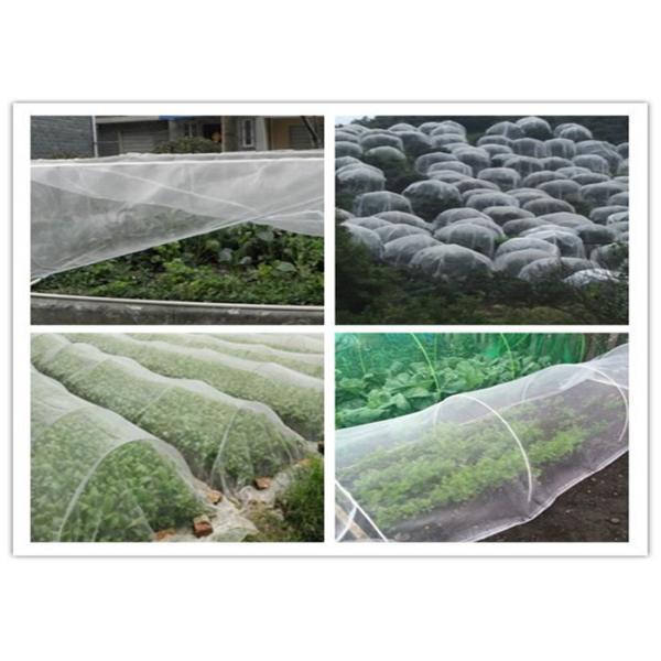 Anti Insect Netting