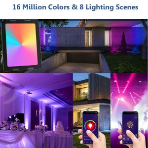 Waterproof Outdoor RGB LED Floodlight Smart IP66 LED Flood Light 100W