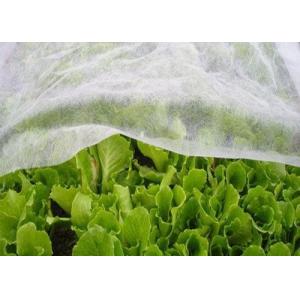 Durable Hydrophilic PP Non Woven Anti Insect Warmth Light Transmission For Agricultural