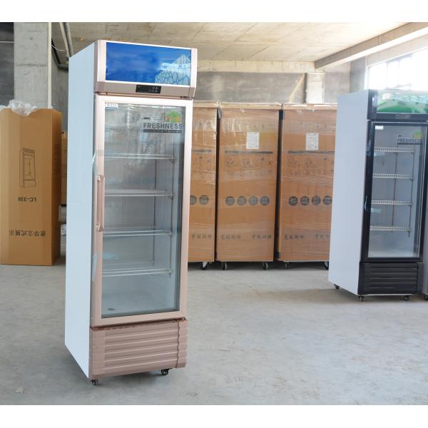 Single-Temperature Vertical 1-Door Showcase Commercial Refrigeration Beverage