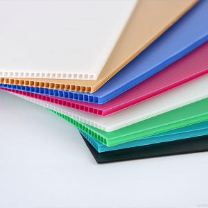 Pp Foldable Corrugated Plastic Box Lightweight Custom Packaging Shipping