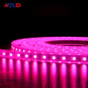 IP65 IP67 IP68 RGBW LED Strip Lights Color Changing Outdoor 4 In 1 5050 5 Pin