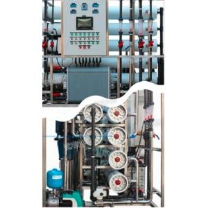 China 1.0m3/h RO EDI Softened Water Plant for Deionized Water on sale