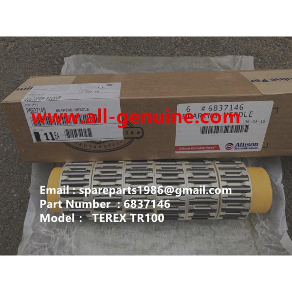 Quality 6837146 BEARING ALLISON TRANSMISSION TEREX NHL DUMP TRUCK  TR35 TR50 TR60 TR100 3305B 3305F 3303 3307 TR45 TR70 MT4400 wholesale