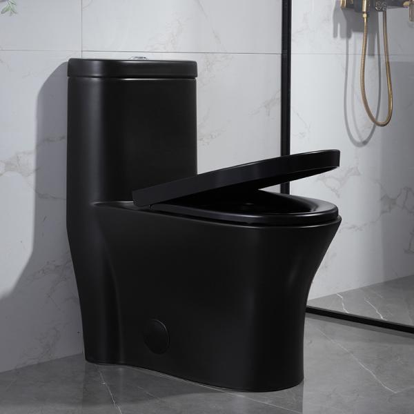 Quality Ada Dual Flush One Piece Toilet With Side Flush 0.8/1.28 Gpf Hotel Wc 765MM wholesale