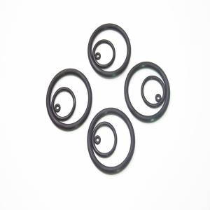 High Precision AEM EPDM NBR Silicone Neoprene Rubber O-Ring Seals with REACH