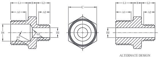 ASTM A351 Stainless Steel Cast Fittings Threaded Hex Reducing Nipple Head