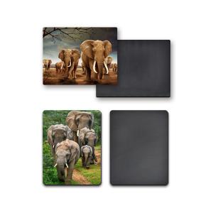 Gifts Custom Fridge Magnets CMYK Printing