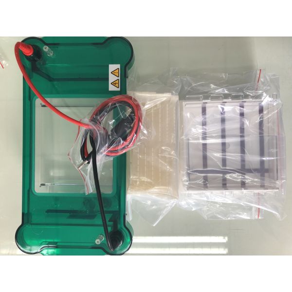 Quality 3/6/8/11 Sample Volume Agarose Gel Electrophoresis Equipment Science Lab Equipment  Jy-spct wholesale