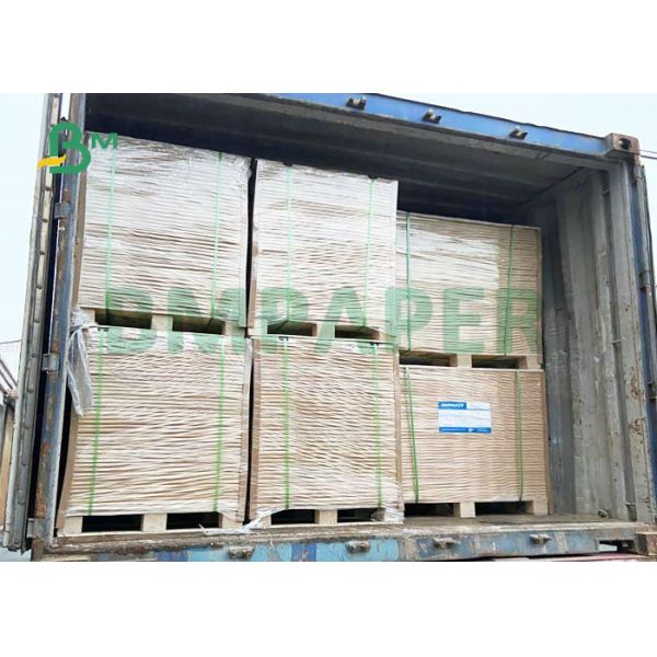 200g 215g GC2 High Bulk White Board Grease-proof PE Coated