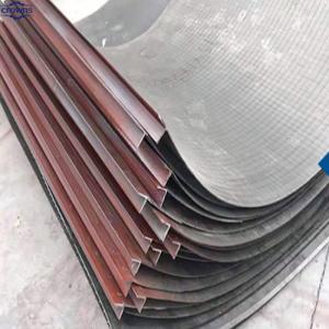 Stainless Steel Wedge Wire Screen DSM Sieve Bend Screen for industry filtration