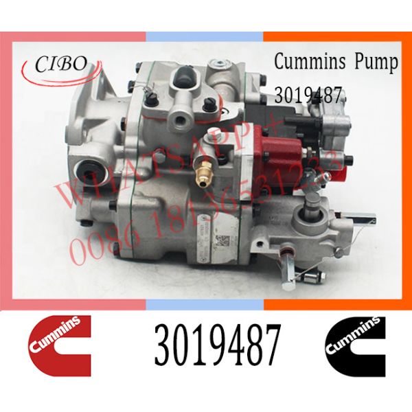 Cummins Engine NTA855 PT Fuel Injection Pump 3019487 3062033 3019488