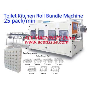 Tissue Paper Packing Machine Fully Automatic Packing Multi Toilet Roll Kitchen Towel Into A Pre Made PE Bag