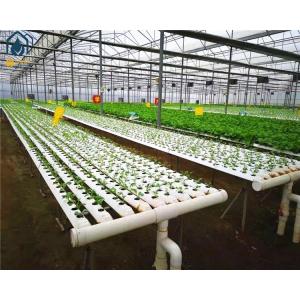 Agricultural Lettuce Hydroponic Growing System NFT Vertical Hydroponic System