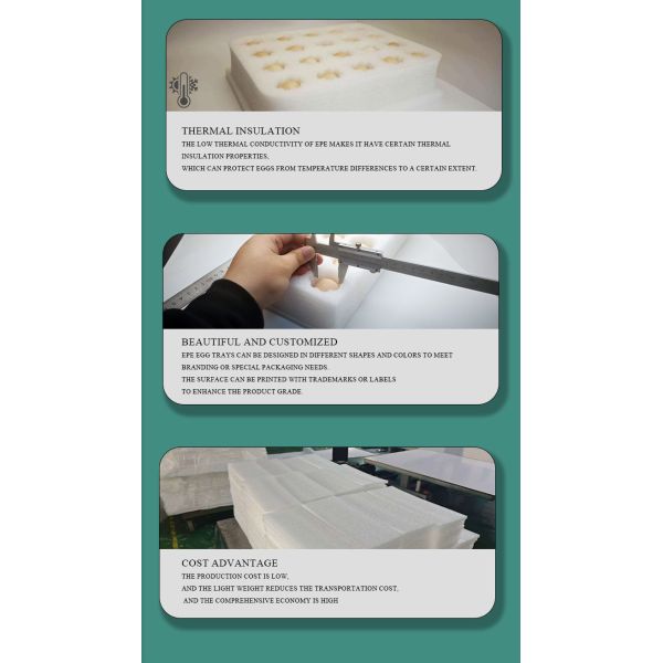 Quality Assurance Custom EPE Egg Foam Tray Oem Wholesale Egg In Egg Carton Eco-Friendly Corrugated Cardboard Egg Paper Packaging Box Customizable