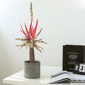 SGS Plastic Artificial Foliage Tree Architectural Landscaping For Dining Room