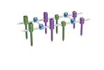 Class III Spine Fixation System CNC Machining Anodizing Processing Color