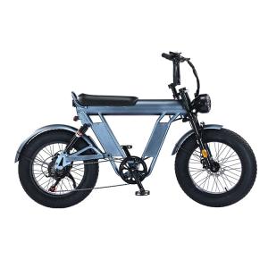 20 Inches Fat Tire Electric Bicycle With 48V Aluminum Alloy Frame And Dual Suspension
