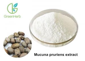 Cheap Good Performance Mucuna Pruriens Extract Powder 98% L- Dopa Non - Irradiated for sale