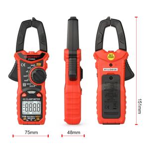 6000 Counts 60M Ohm 2xAAA Batteries AC Clamp Meter