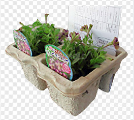 High Capacity Egg Carton Making Machine / Automatic Egg Tray Machinery