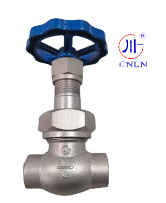 CNLN/Arman DJ61F-40P SS304/316 Cryogenic Globe Valve Short Stem-Type C(DN10-50mm