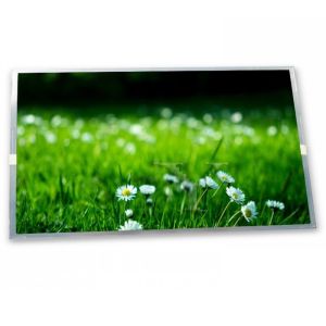 LTM190E1-L03 19 Inch 1280*1024 WLED Tft Lcd Screen Panel
