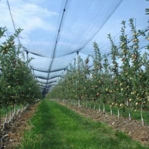 Cheap #2021 Factory supply anti-hail net / Hail Protection Net / apple tree Anti Hail net for sale