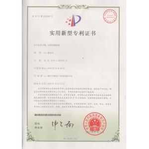 D-bridge is the patent of Great Wall