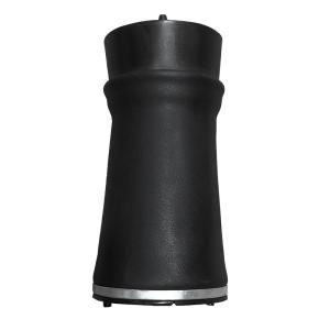 Auto Suspension Systems Mercedes Benz W906 Sprinter Rear L&R Air Spring Air