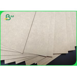 100% compostable Single Side White Coated Food Paper Board 325gsm