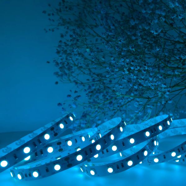 12V 24V SMD 5050 LED Strip Single Color Red Blue Green Yellow Flexible LED Tape Light