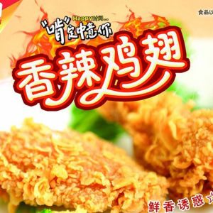 PLASTIC LENTICULAR 3D lenticular custom print poster lenticular pp 3d advertisin