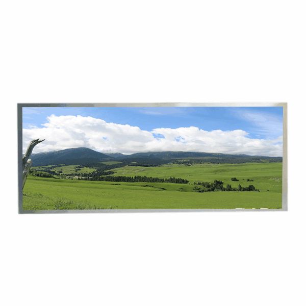 Quality 12.3" HannStar Wide Temperature LCD High Brightness 1920x720 wholesale