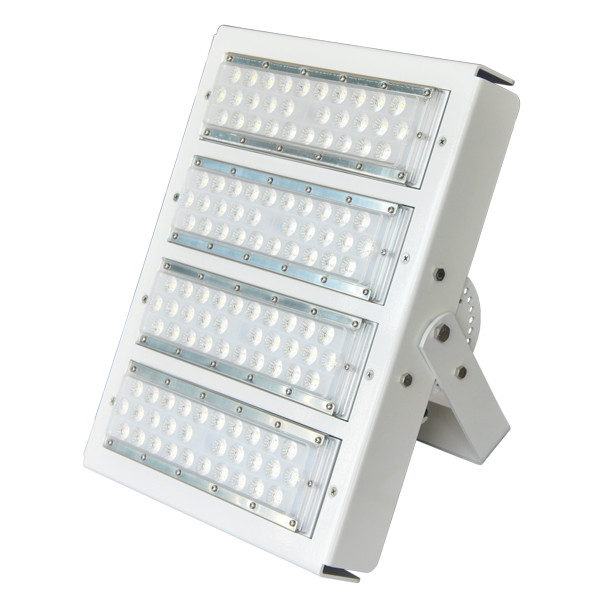 Quality High Efficiency LED Stadium Light ,  160 Lm/ W High Mast LED Flood Light 50W / 100W wholesale