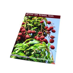 Matte Varnishing C2S Paper Travel Advertisement Poster