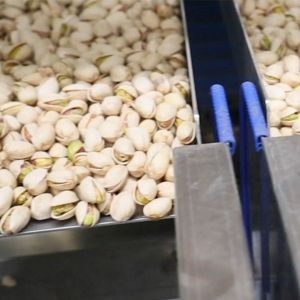 High Speed Pistachio Sorting And Grading Machine Computer Control 16 Channels
