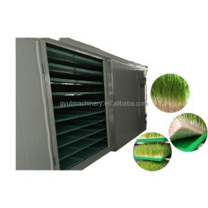 Compact Container Type Hydroponic Barley Fodder Growing Room for Optimal Sprout