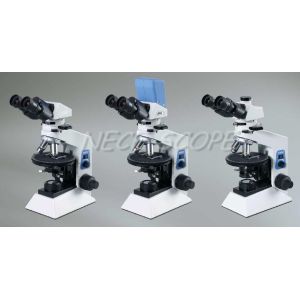 Teaching Polarized Light Microscopy , Scanning Electron Microscope 30° Inclined