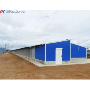 China Prefabricated Steel Poultry Shed with Automatic Feeding and Drinking Systems on sale