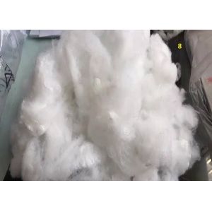 1.5D To 60D Recycled Polyester Staple Fiber , Original PET Staple Fiber Flame
