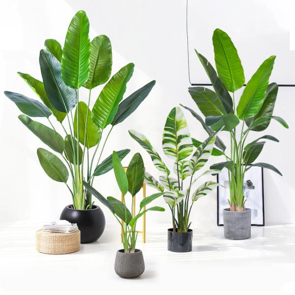 Quality H160cm Artificial Traveller's Palm Customized Decorated For Store Office Corner Home Decor wholesale