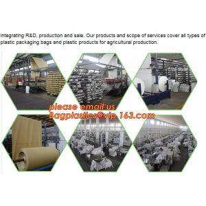 PP Single Belt Bags PP Double Belt bags PP Top Flap Ton Bags PP Top Skirt