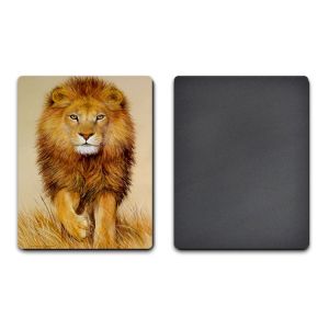 Customized 3D Fridge Magnets Size 7x11cm Or 7x9cm CMYK 4 Colors Printing