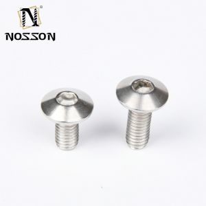 Plain Finish Stainless Steel Beveled Flat Head Hexagonal Allen Screws M2 M3 M4