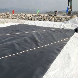 Black Glossy Geomembrane 1.5mm/2.0mm HDPE Liner for Impermeable Plastic Dam