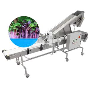 China Rice and Alfalfa 8% Discount Microgreens Harvester 1350mmx850mmx950mm with Suitable on sale
