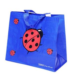 Durable Glossy Laminated PP Woven Shopping Tote Bag with Handle