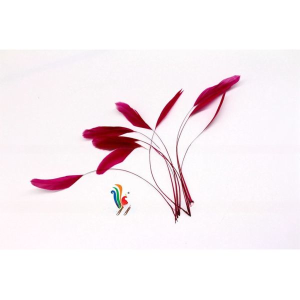 Dyed Pattern Party Decoration Stripped Rooster Coque Feather 12-14inch / 14-16inch